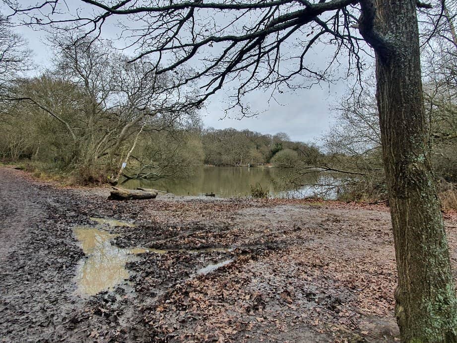 Stamford Green Pond