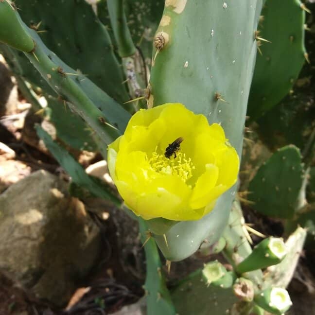 Lakes and Waterfalls