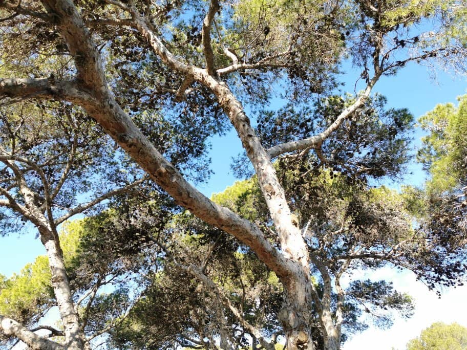 Vertical photo
