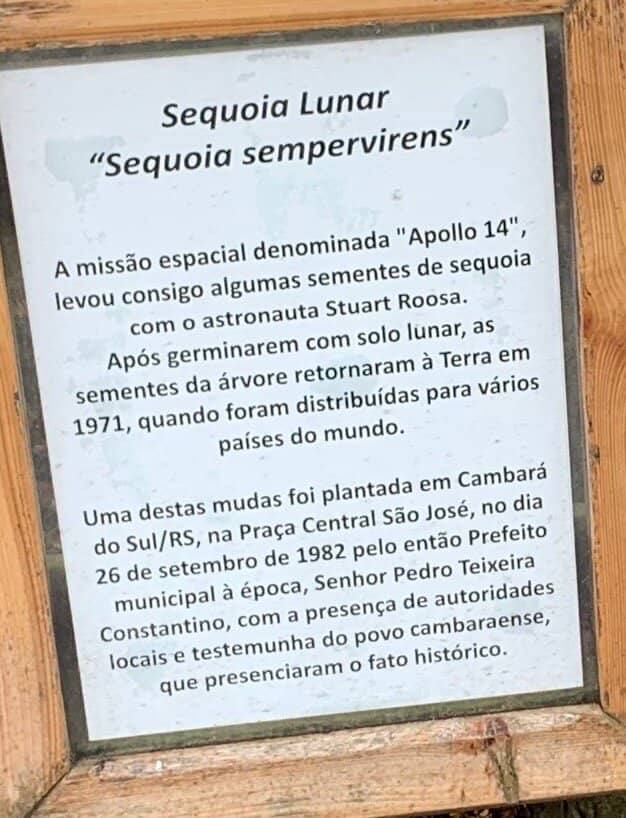 Central Plaza Ambiance