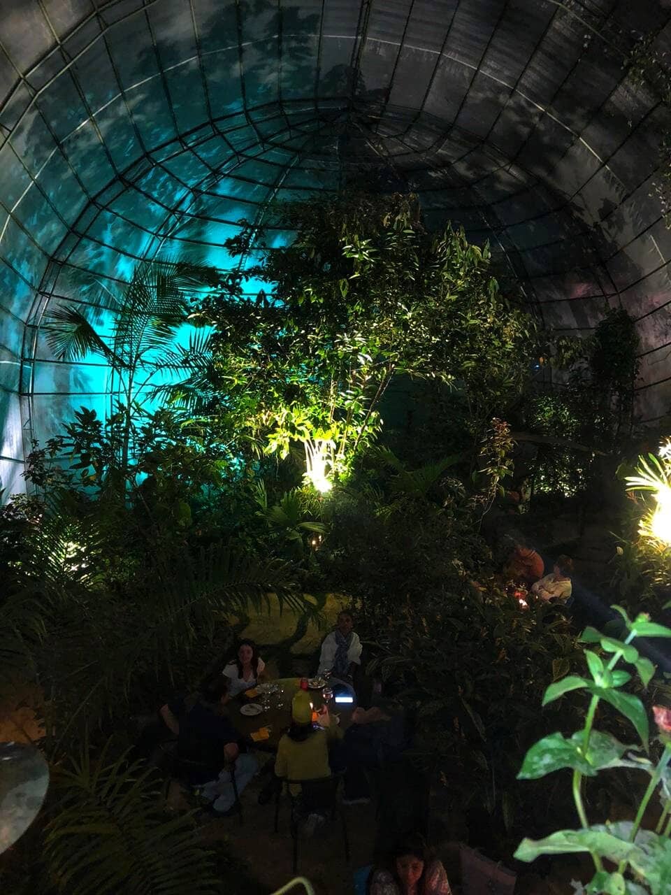 Butterfly Transformation Zone