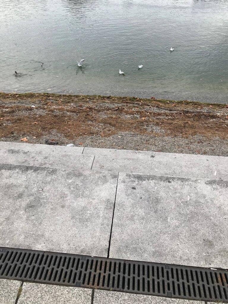 Lake Constance Waterfront