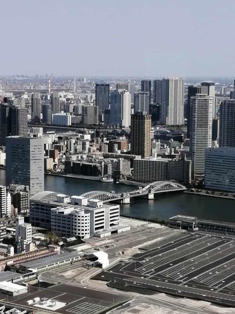 Futuristic Cityscape Views