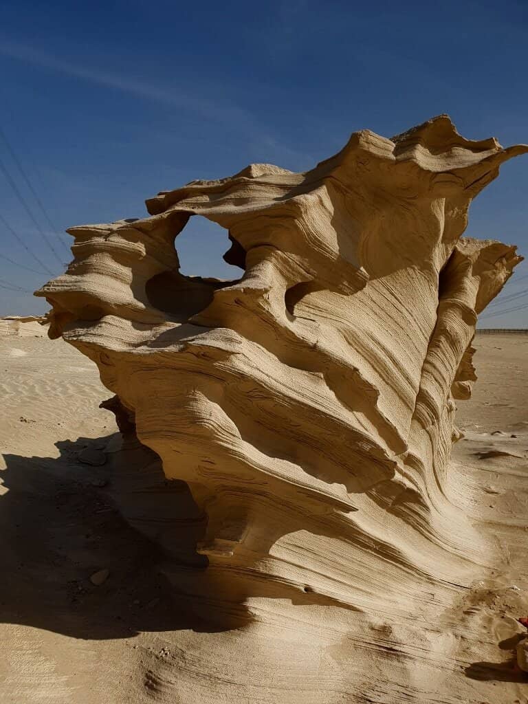 Greater Flamingo Flocks