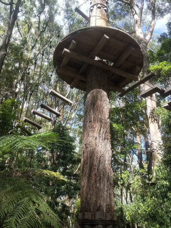 Heart-Pounding Ziplines