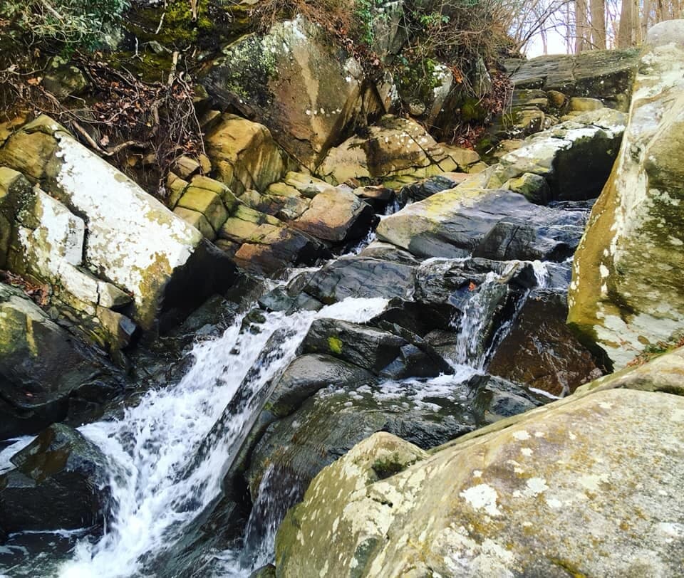 View from sitting on the cascades on the trail!