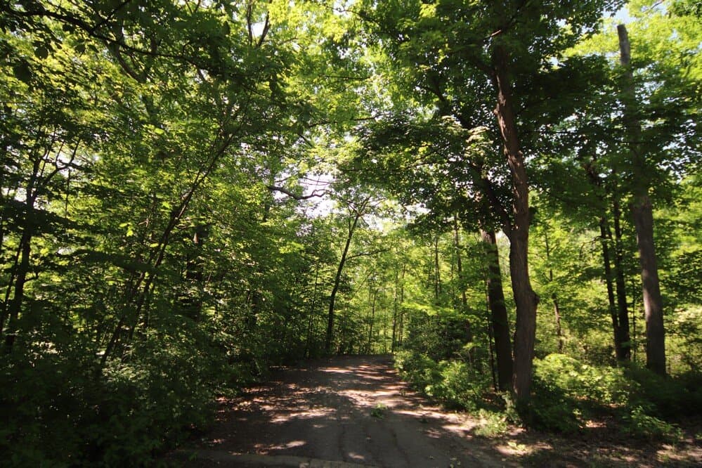 Hiking now!