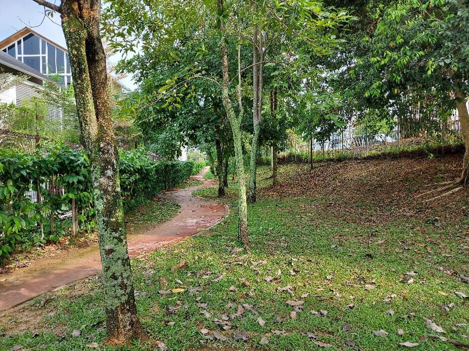 Green Spaces for Relaxation