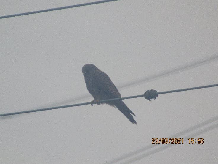 Historic Chadkirk Chapel