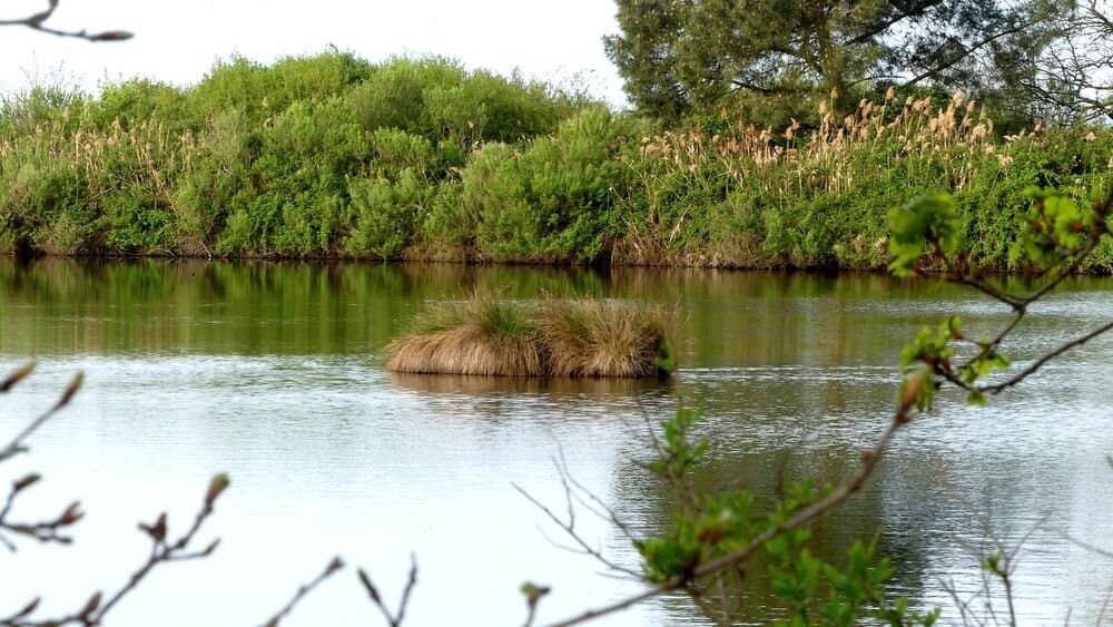 Secluded Beach Access