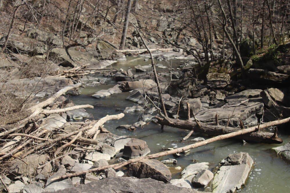 Wooded Hiking Paths