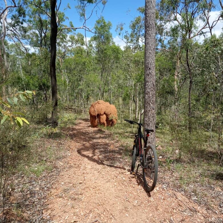 Refreshing Creek Dip