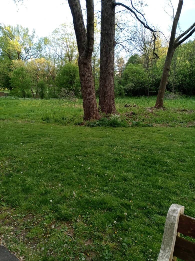 Wildlife Encounters