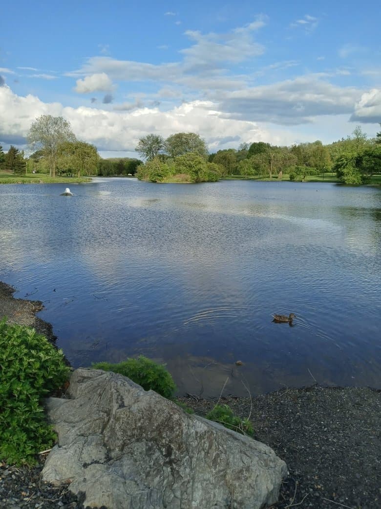 Cedar Beach Park