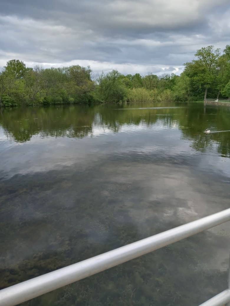 Lake and Pond