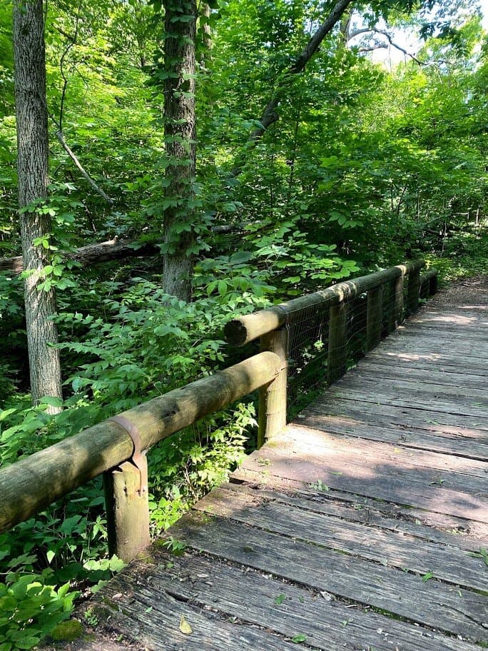 There were several small wooden bridges.
