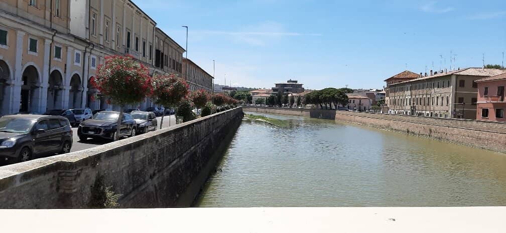 Street Food Delights