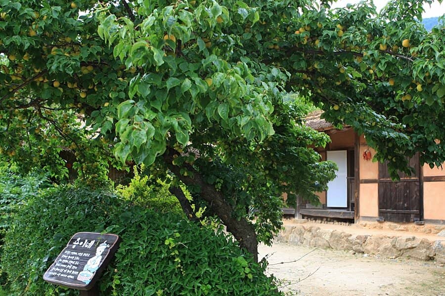 The Grand Choi Residence
