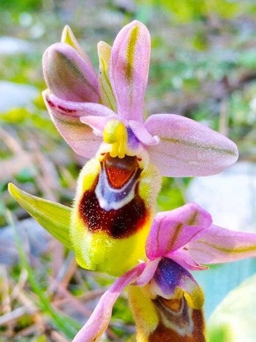 Kid-Friendly Playgrounds