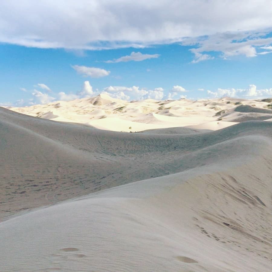 Alexandria Dune Field Colchester