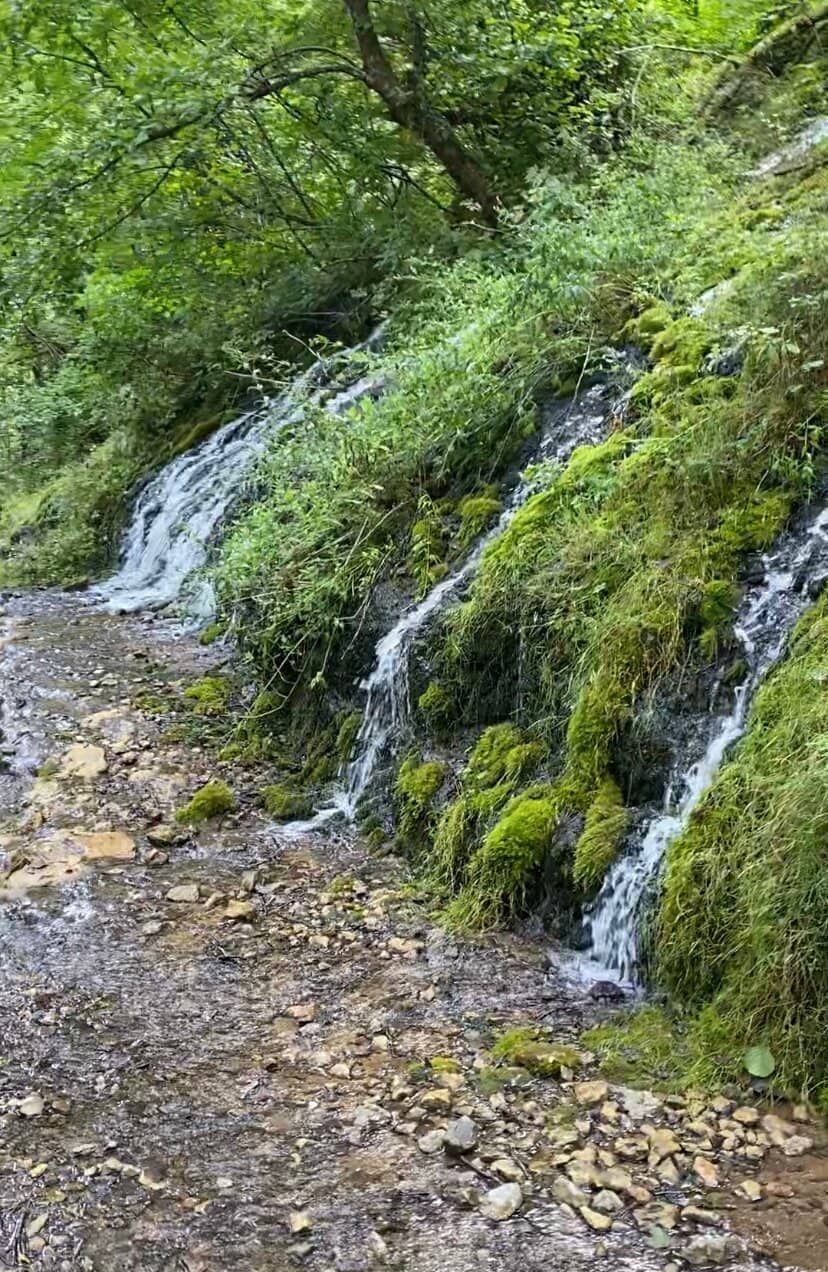 Tomb of Father Ioan Iovan
