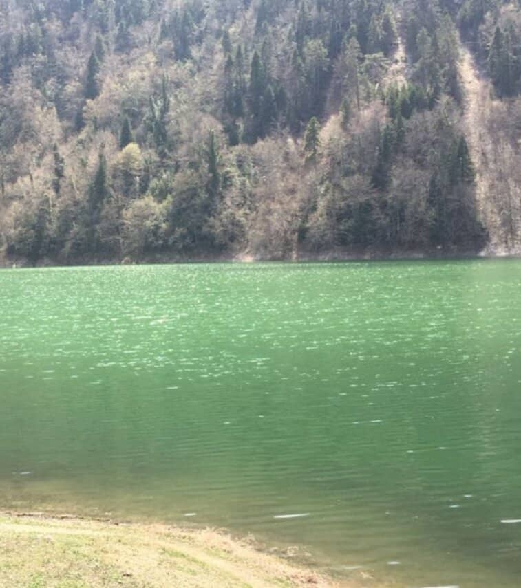 Vertical photo