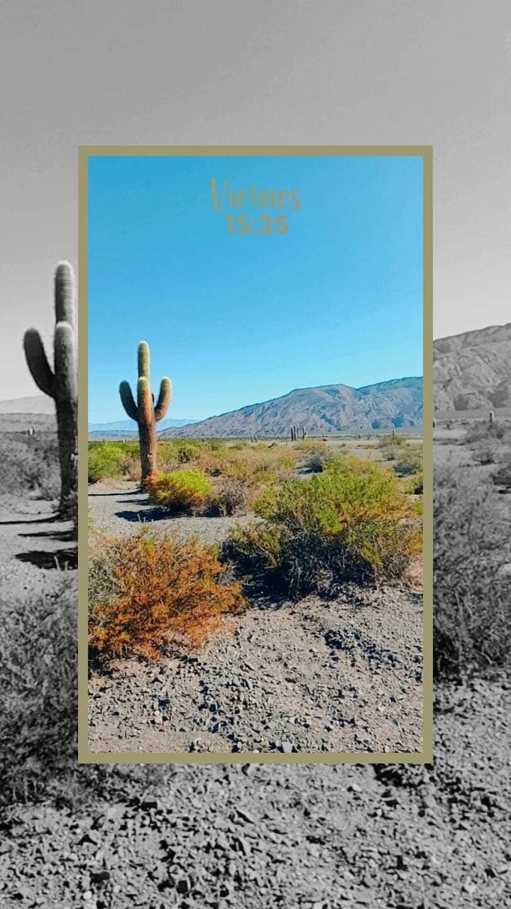 Cardón Cacti Forests