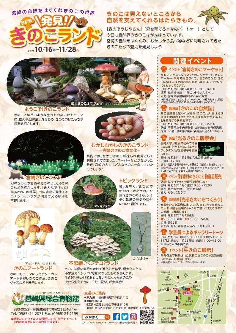Miyazaki History Floor