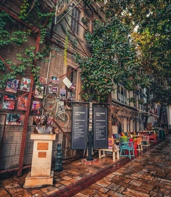 Vertical photo