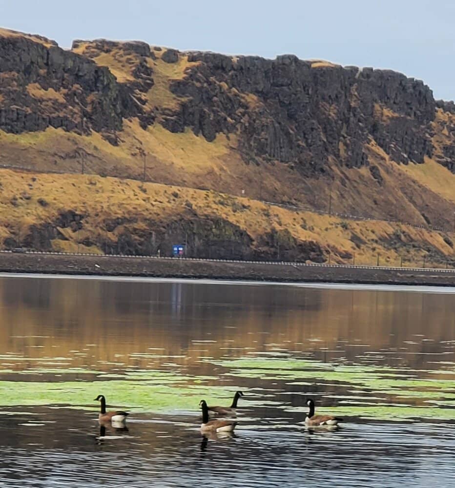 Peach Beach RV Park