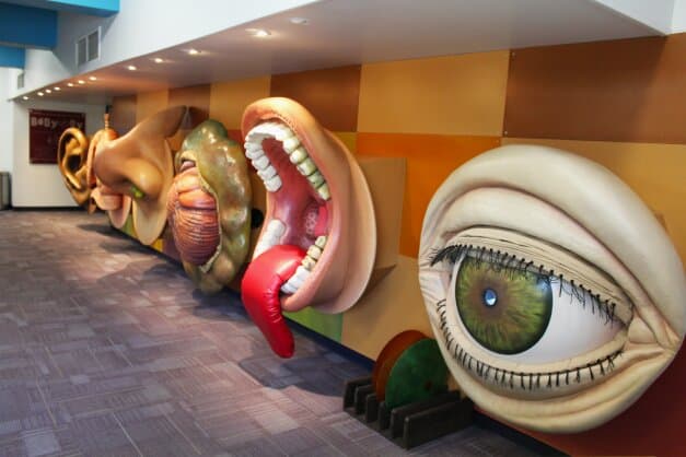 Learn about your body, making healthy choices and the joy of growing, shopping for and cooking food!