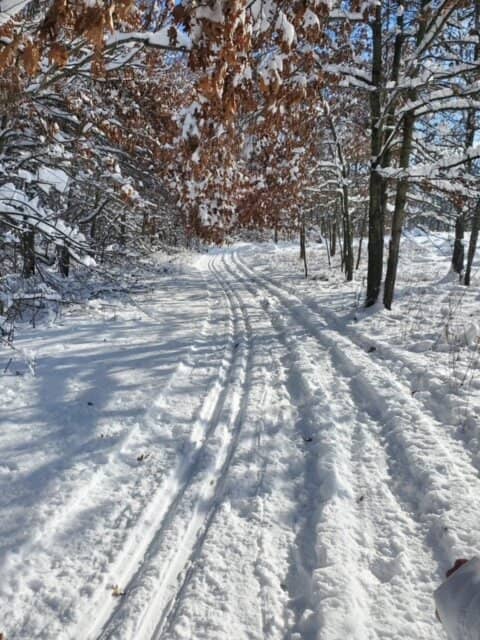 Prairie Habitat Lookout