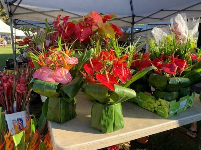 Fresh Produce Paradise