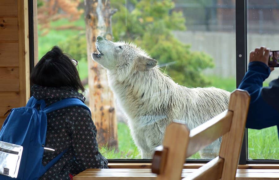 Educational Keeper Talks