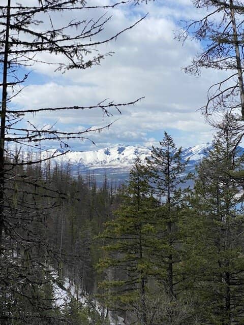 Sperry Glacier Hike