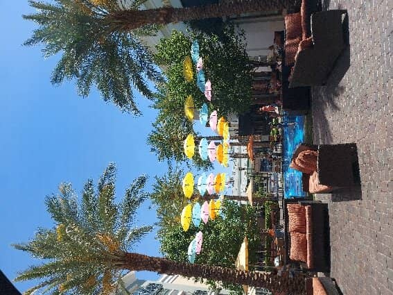 The Farmers Market