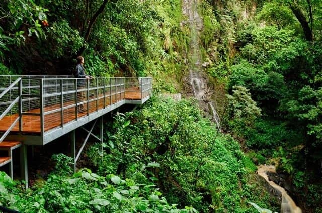 Nature Reserve Trails