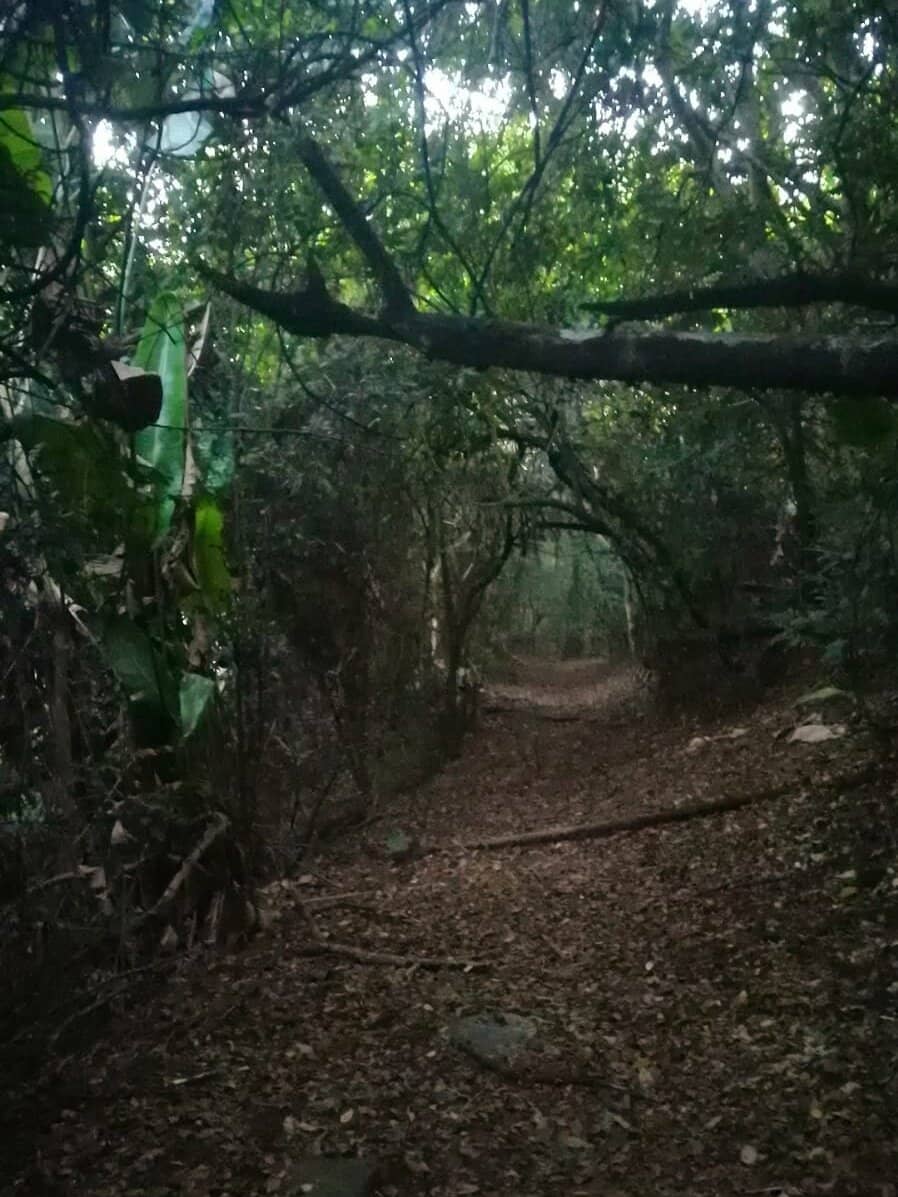 Diverse Walking Trails