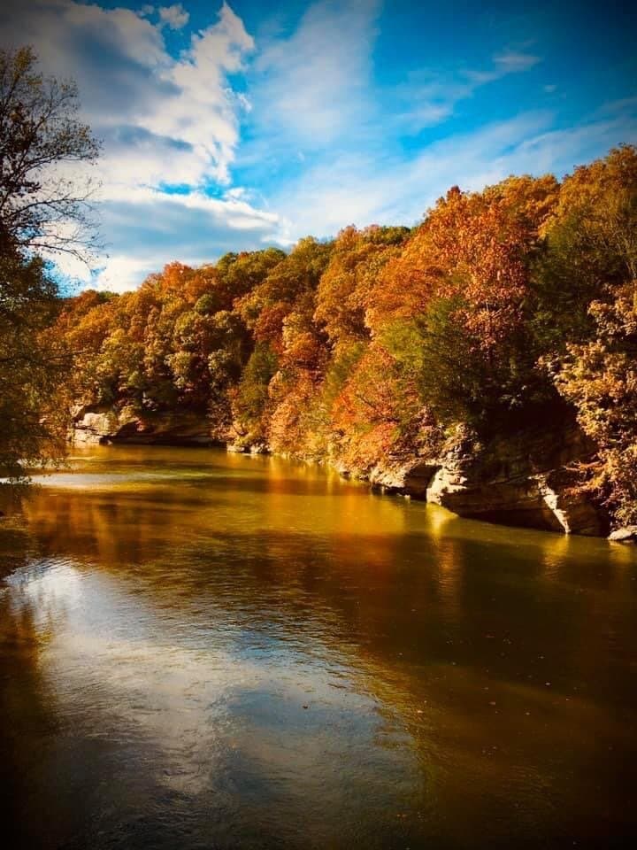 Turkey Run State Park