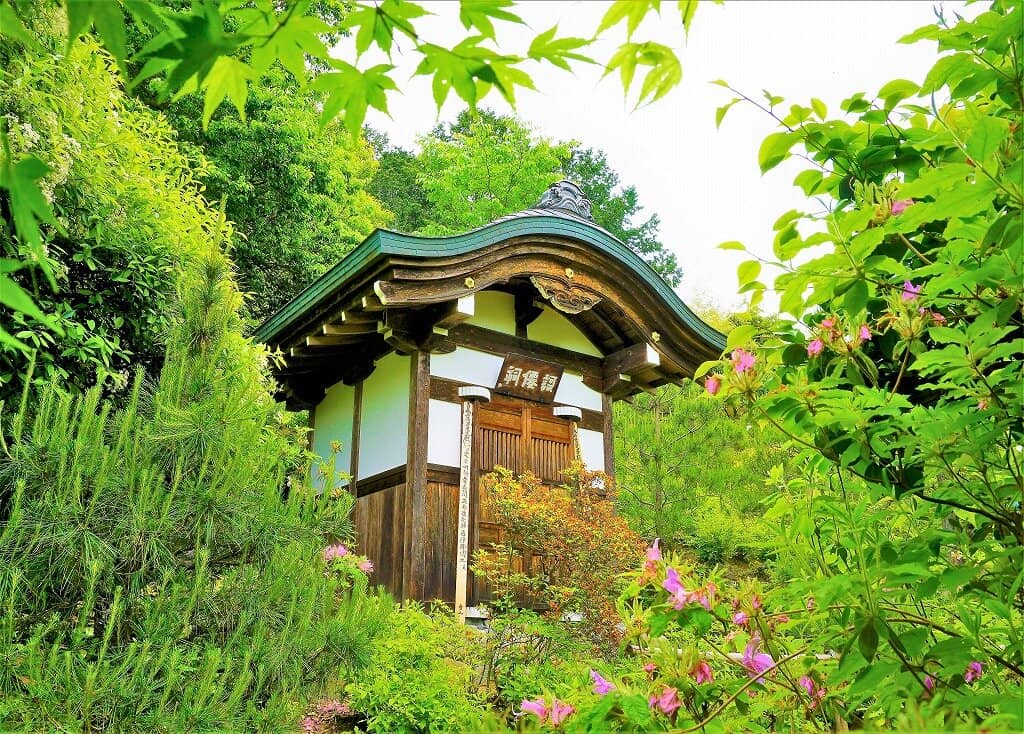 Lush Greenery & Gardens