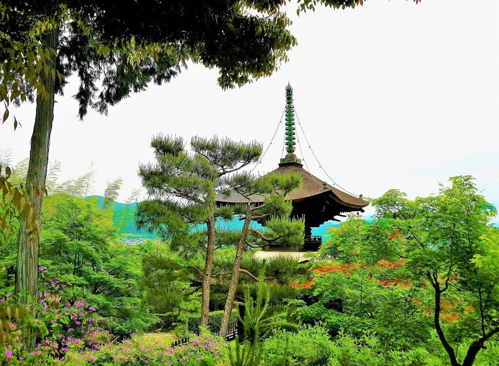 Panoramic Kyoto Views