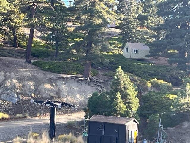 Skiing & Snowboarding