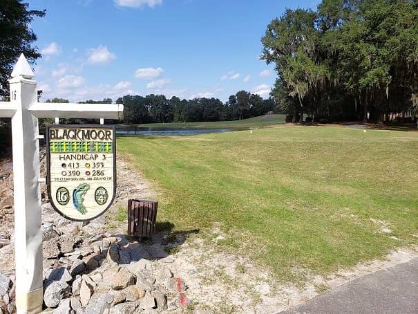 Well-Maintained Greens