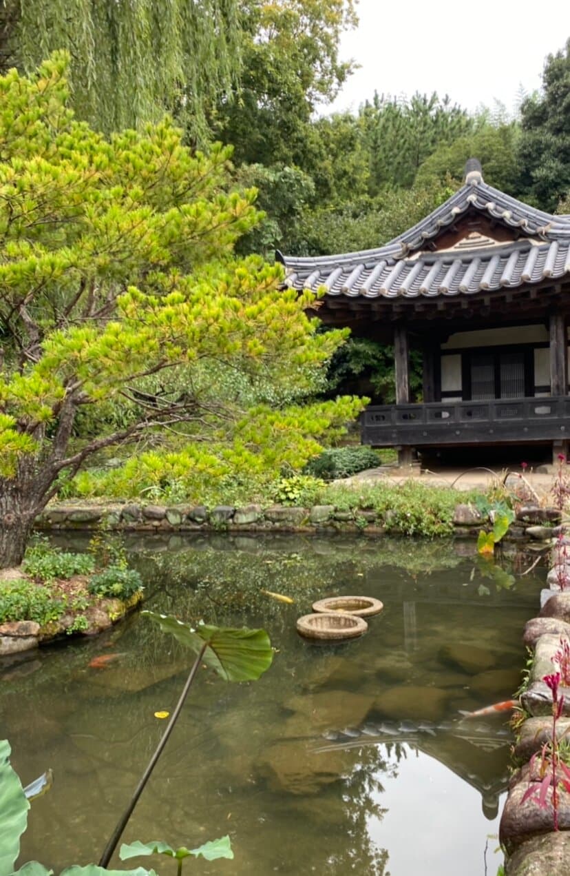 Hanok with a koi fish pond