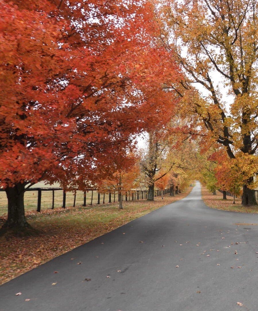 Claiborne Farm Paris Kentucky