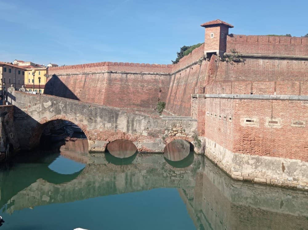 Live Music & Festivals