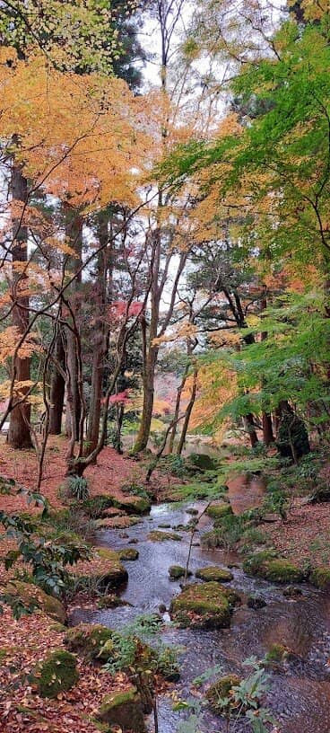 Serene Lake and Koi Ponds