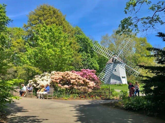 Regional History Displays