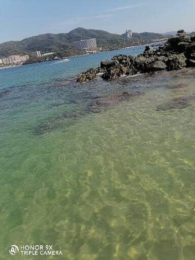 Crystal Clear Waters