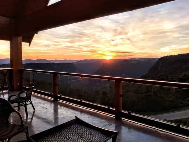 Artisanal Olive Oil Tasting